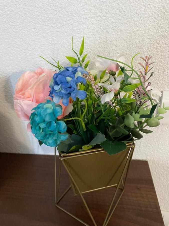 Vila Amir 旧瓦马 外观 照片